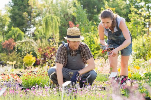 Garden maintenance in Eltham with neatly trimmed lawns and healthy planting beds