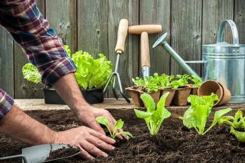Free quote process for local gardening work in Eltham