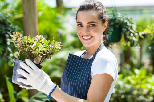 Professional gardeners Eltham focused on safety and protection