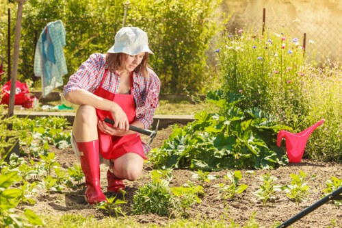 Experienced gardeners improving a residential garden with seasonal care