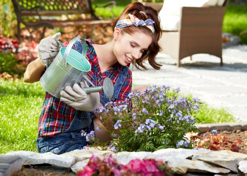 Professional patio cleaning on a stone surface in Eltham