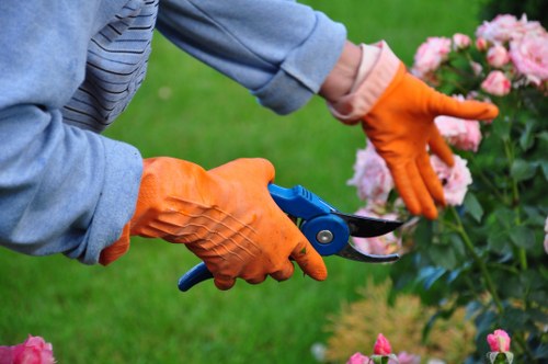 Seasonal garden maintenance in Eltham with mulching and leaf cleanup
