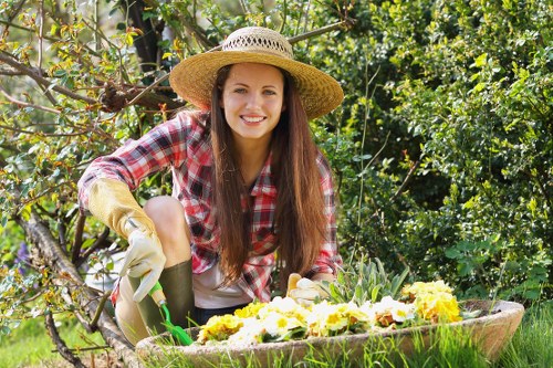 Seasonal lawn mowing maintenance in an Eltham garden