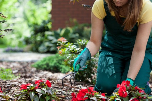 Public liability insurance and safe garden maintenance in Eltham