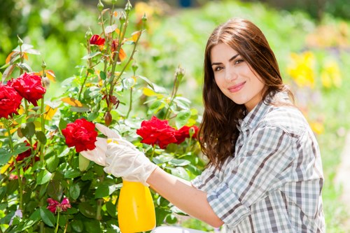 Screen-reader friendly content for Gardeners Eltham accessibility
