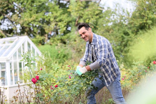 Low-maintenance landscape gardening in Eltham with neat borders