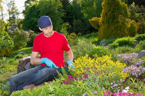Eltham garden with structured landscaping and soft greenery