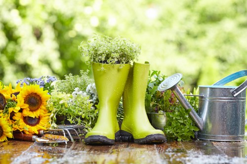 Eltham garden maintenance with lawns and shrubs