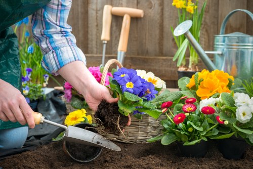 Gardening services in Eltham including hedge trimming and garden bed maintenance