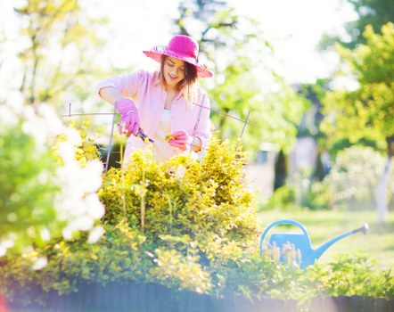 Professional lawn care in Eltham with sharp mowing and tidy grass