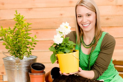 Seasonal gardening services in Eltham with lawn care and planting support