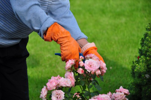 Tree pruning and removal service near Eltham homes