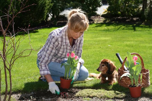 Ongoing review of accessible gardening content for the Eltham area