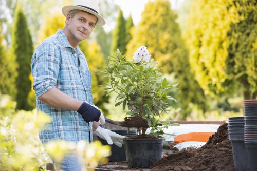 Watering and fertilising a lawn in Eltham for stronger growth