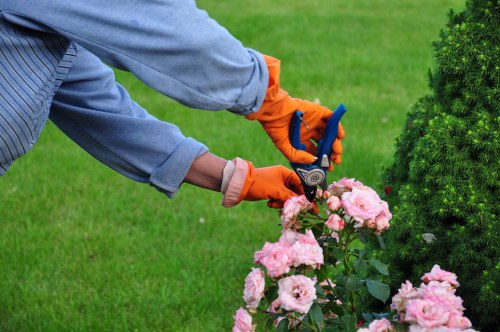 Residential gardening services in Eltham for tidy yards and improved curb appeal