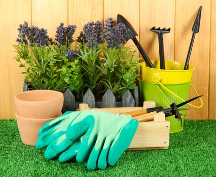 Professional garden maintenance in Eltham with neat lawns and thriving greenery